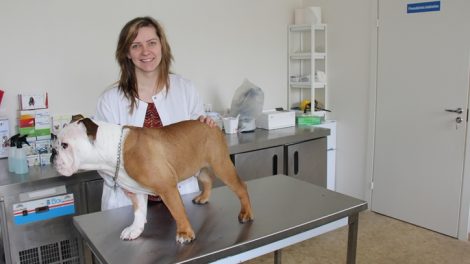 Augintinių sveikata Druskininkuose rūpinsis Kurorto veterinarijos klinika