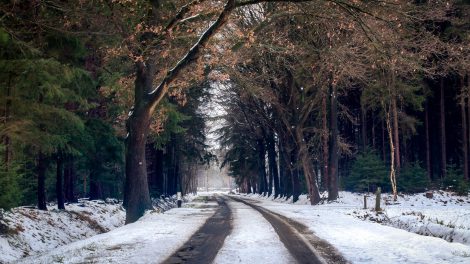 Žiemos grimasos: Rietavo savivaldybės keliukuose tenka laviruoti tarp gyvybės ir mirties
