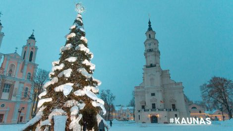 Kaunas atsisveikina su gražiausia Lietuvos eglute: plastikiniai šiaudeliai bus perdirbti