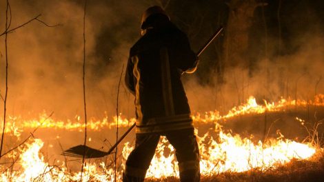 Žolės gaisrai – skaudus smūgis bundančiai gamtai
