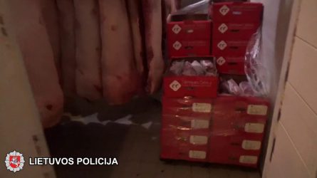 Suduotas rimtas smūgis šešėliniam prekybos mėsa verslui (video)