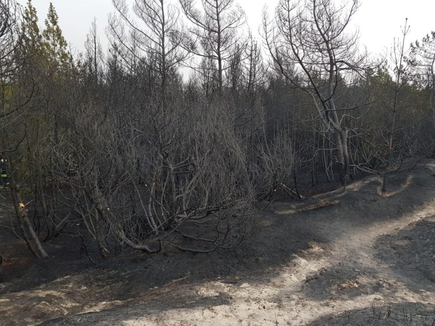 Miško gaisravietėse miškininkai ir ugniagesiai budi ir naktimis