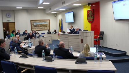 Suformuoti Savivaldybės tarybos komitetai