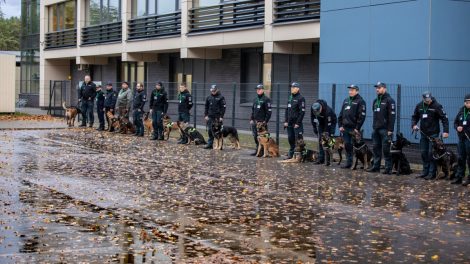 Klaipėdoje vyksta policijos kinologų su tarnybiniais šunimis, ieškančiais narkotinių medžiagų, varžybos