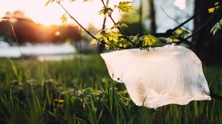 Lašas po lašo: Plastiko maišelių žala
