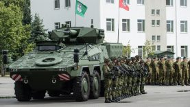 Vyriausybė pritarė principinei kariuomenės struktūrai ir ribiniams skaičiams