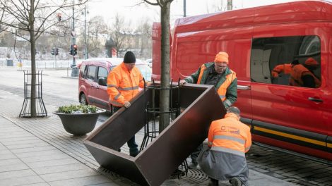 Naujas standartas rūpestingai medžių priežiūrai žiemą sostinėje