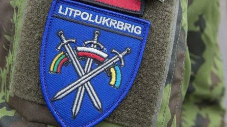 Vilniuje Lietuva, Lenkija ir Ukraina aptarė bendros brigados plėtojimo klausimus