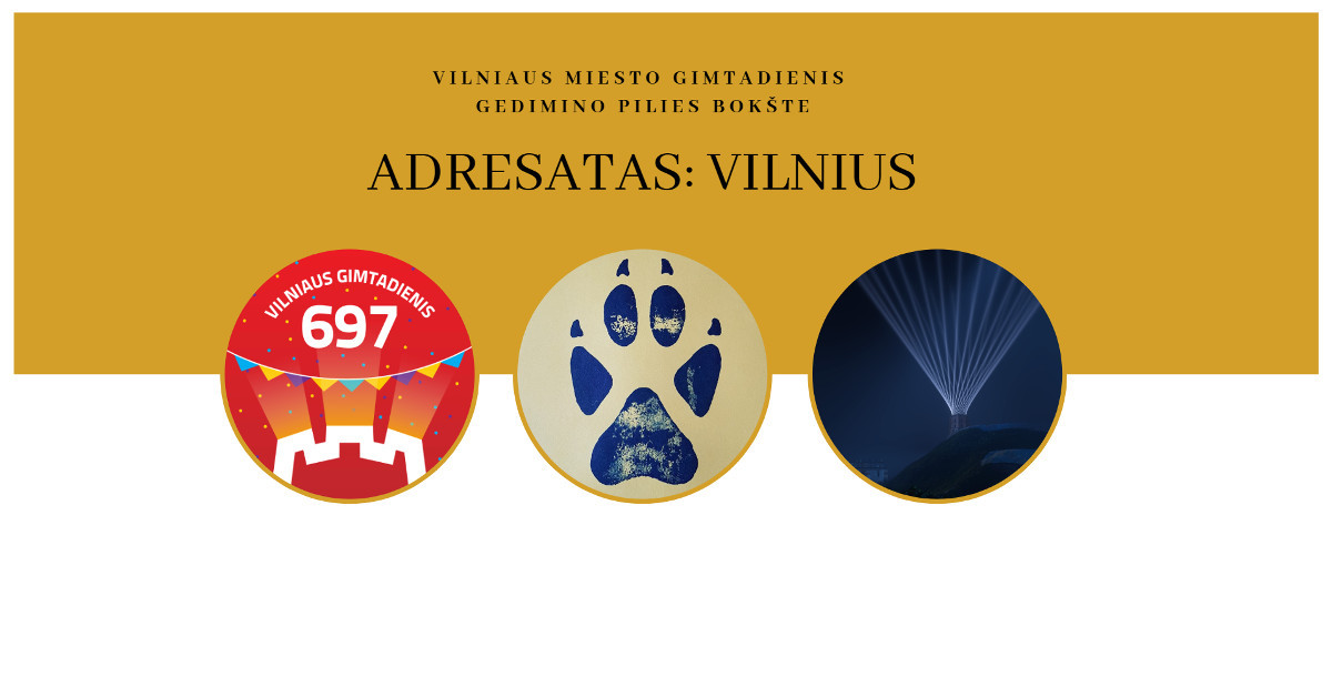 vilniaus-miesto-gimtadienis-gedimino-pilies-bokste-–-„adresatas:-vilnius“