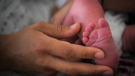 Trys „valstiečiai“ siūlo kriminalizuoti privedimą darytis abortą
