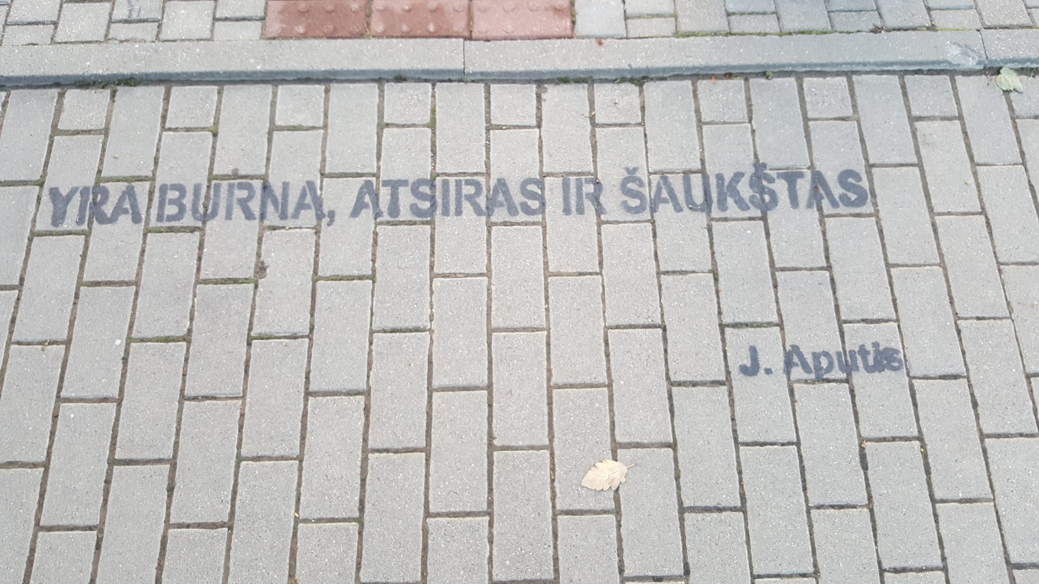 savivaldybes-administracija-issipute-dviem-naujais-skyriais