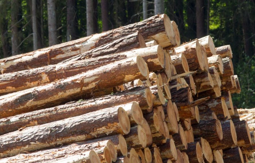 Dėl ekstremalios padėties poveikio ekonomikai pakeista ir prekybos žaliavine mediena tvarka