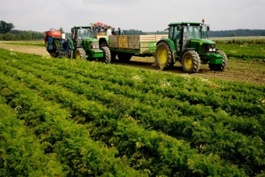 Žemės ūkio ministerija karantino metu neleis lenkų ūkininkams atvykti į Lietuvą dirbti ūkio darbų