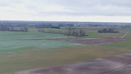 Susisiekimo ministerija: gyventojai galės laikinai ūkininkauti žemėje, kur drieksis „Rail Baltica“
