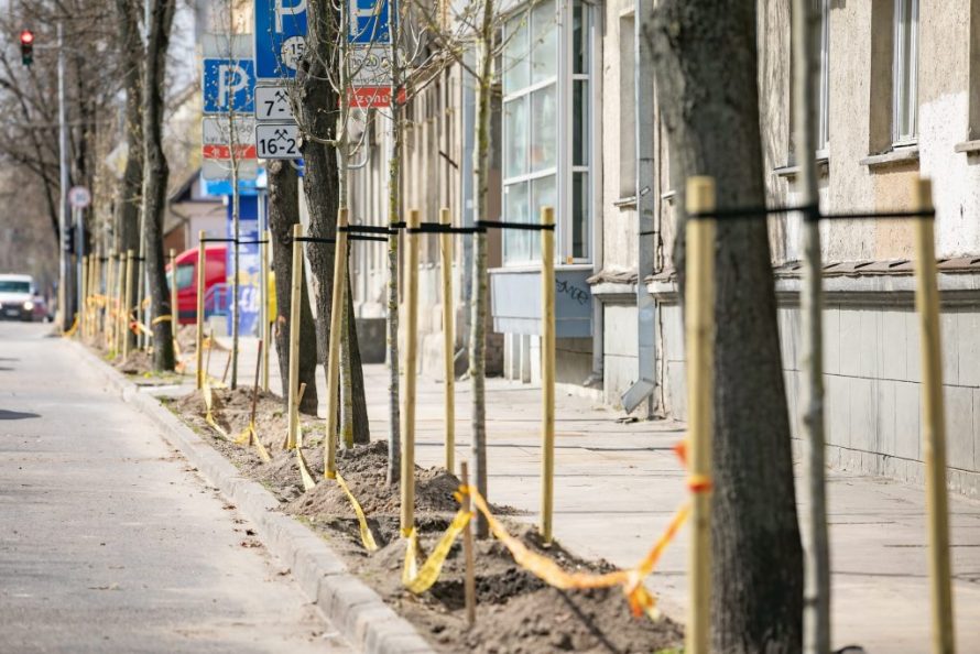 Žalesnis Vilnius: nuo ambicingo pavasarinio medžių sodinimo iki naujos želdynų strategijos 