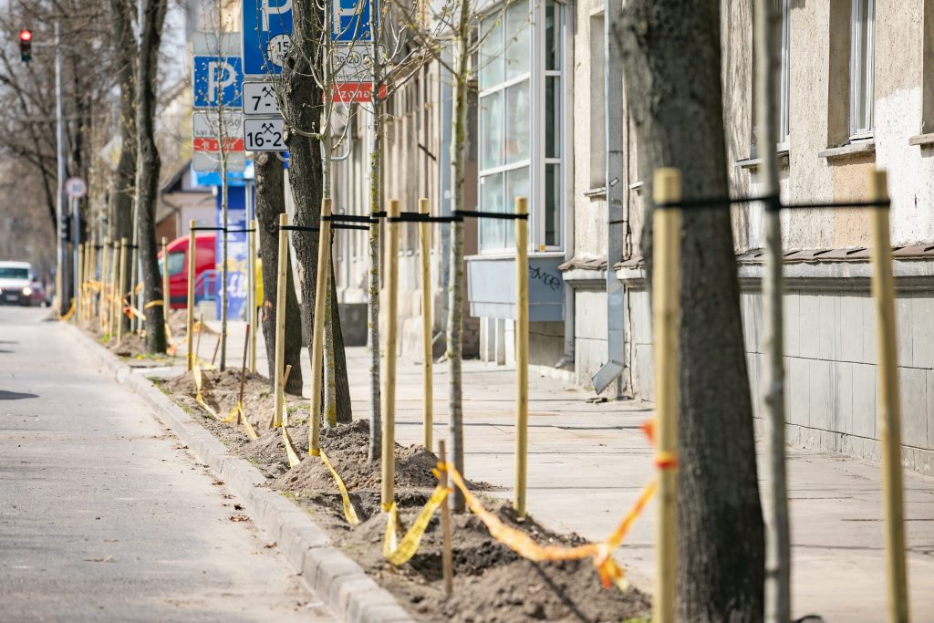 zalesnis-vilnius:-nuo-ambicingo-pavasarinio-medziu-sodinimo-iki-naujos-zeldynu-strategijos 