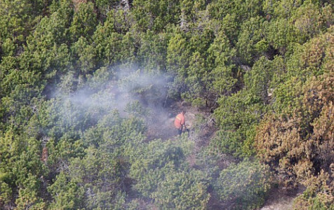 Prevenciniai reidai padeda išvengti gaisrų miškuose