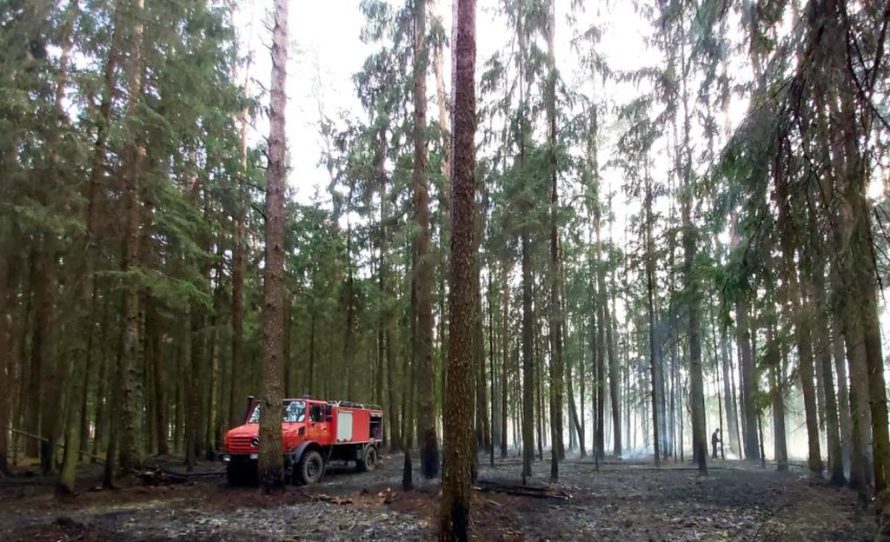 Patvirtintos naujos redakcijos Miškų priešgaisrinės apsaugos taisyklės