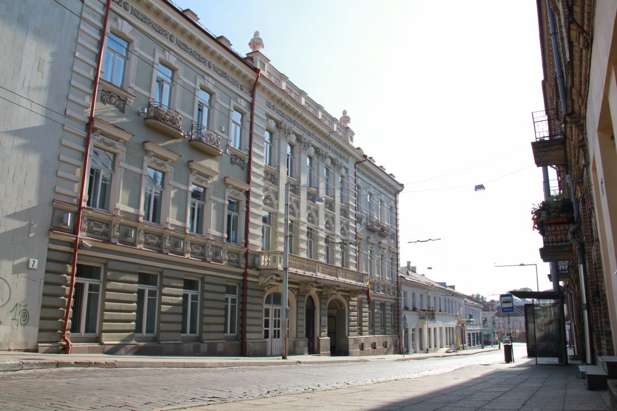 pritarta-kulturos-paveldo-komisijos-pirmininkes-kandidaturai