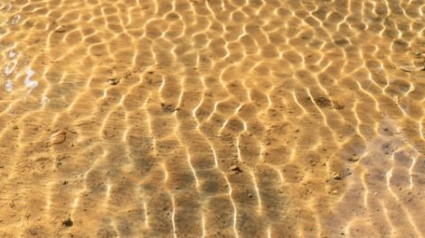 Kėdainių rajono paplūdimių ir maudyklų vandens ir smėlio tyrimų rezultatai