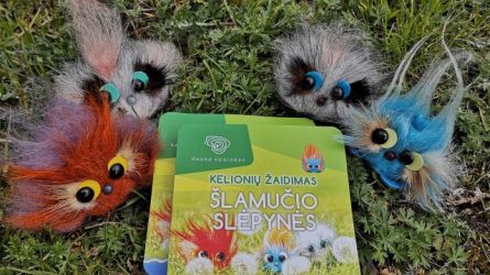Keliauti po Kauno regioną kviečia vaikiškos knygutės personažas