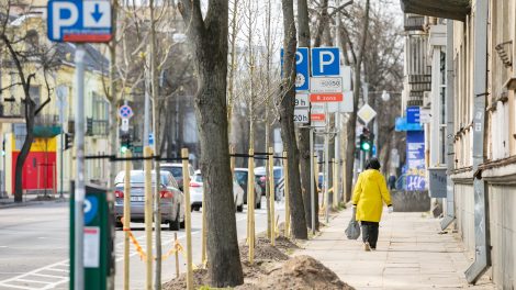 Pokyčiai Vilniaus savivaldybės struktūroje leis daugiau dėmesio skirti želdynams