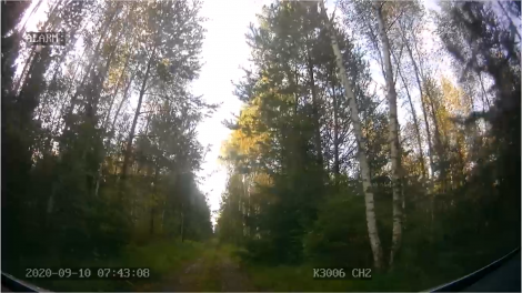 Naktį miške praleidęs grybautojas - surastas (video)