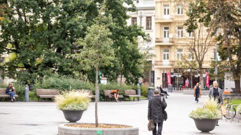 Žaliasis Vilnius: asmenines ir įmonių šventes miestiečiai įamžina sodinukais 