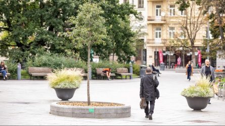 Žaliasis Vilnius: asmenines ir įmonių šventes miestiečiai įamžina sodinukais 