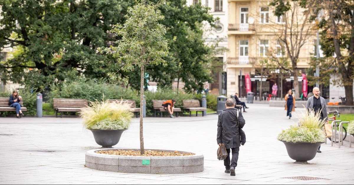zaliasis-vilnius:-asmenines-ir-imoniu-sventes-miestieciai-iamzina-sodinukais 