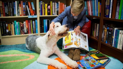 Į Kauno bibliotekas grįžta skaitymai su šunimi