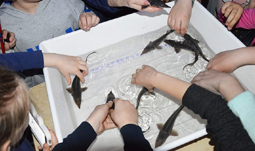 Pažintinė programa vaikus įtraukė į žuvininkystės pasaulį