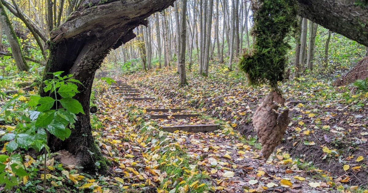2-nauji-pazintiniai-takai-verkiu-ir-pavilniu-regioniniuose-parkuose