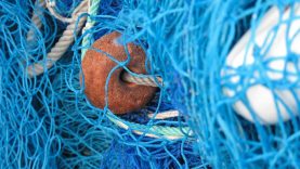Dėl neteisėtos žvejybos kaltu pripažintas pareigūnas turės atlikti bausmę