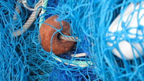 Dėl neteisėtos žvejybos kaltu pripažintas pareigūnas turės atlikti bausmę