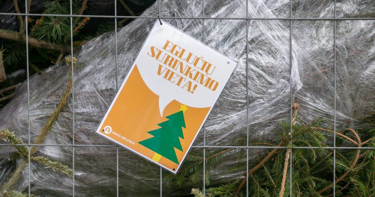 sostineje-–-90-aiksteliu-nupuostoms-eglems-ir-kaledu-miskas-–-gyvoms