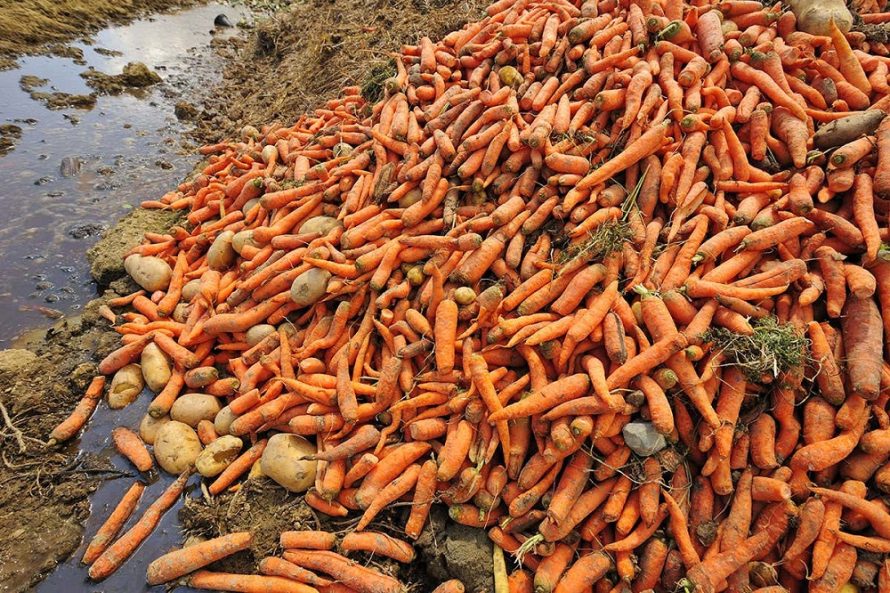 Žemės ūkio ministerija siekia užkirsti kelius maisto švaistymui