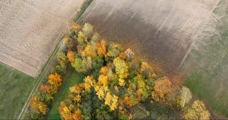 Klimato kaitos iššūkiai žemės ūkiui: dalis sprendimų – gamtoje