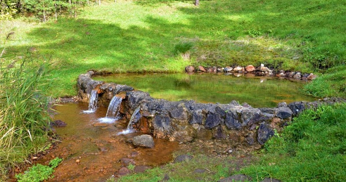 pavasari-pamatyk-10-saugomu-saltiniu