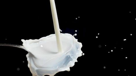 Prasidėjo pieno pardavimo tiesiogiai vartoti deklaracijų teikimas