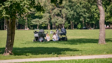 Vilnius kviečia pasirūpinti apsauga nuo erkių: miestuose fiksuojama daugiau susirgimų nei kaimuose