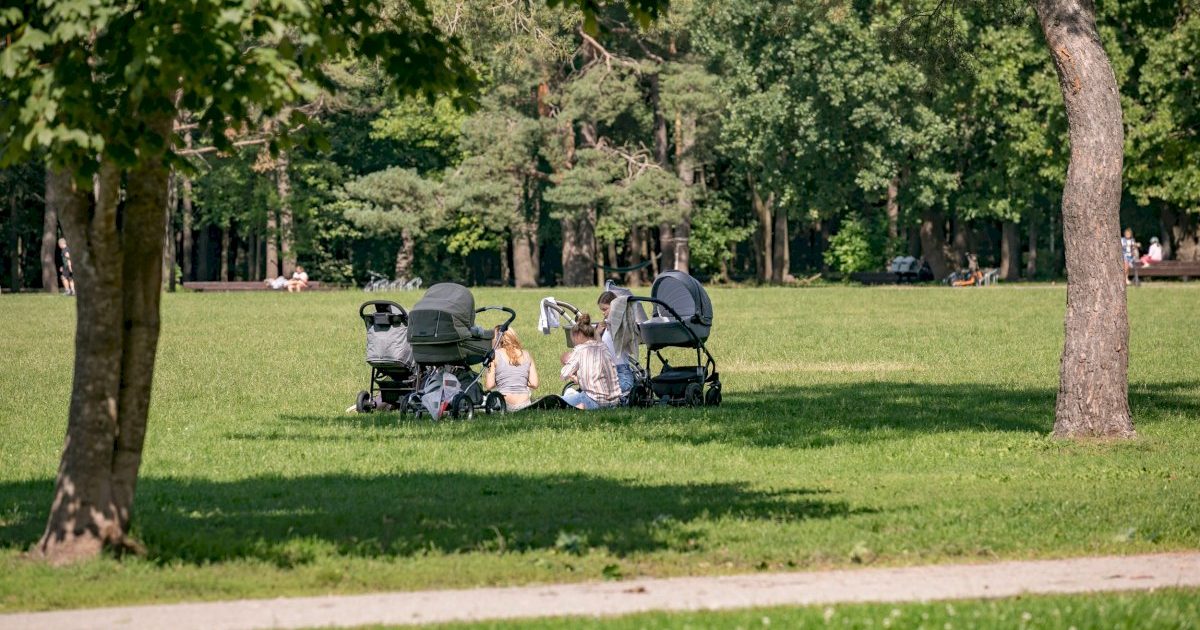 vilnius-kviecia-pasirupinti-apsauga-nuo-erkiu:-miestuose-fiksuojama-daugiau-susirgimu-nei-kaimuose