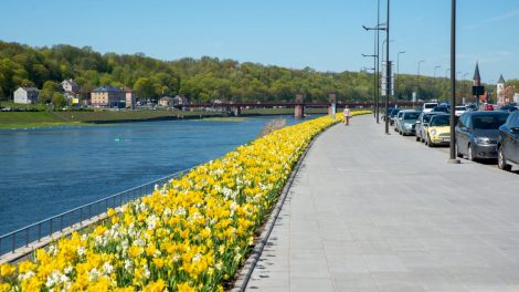 Kaunas pasirūpino ryškiu fonu asmenukėms: miestą papuošė tūkstančiai įvairiaspalvių gėlių