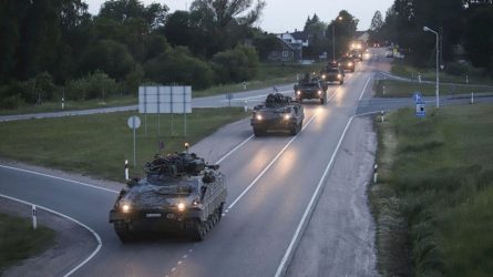 Lietuvos kariuomenė surengs parodomąjį žygį Lazdijuose ir Varėnoje