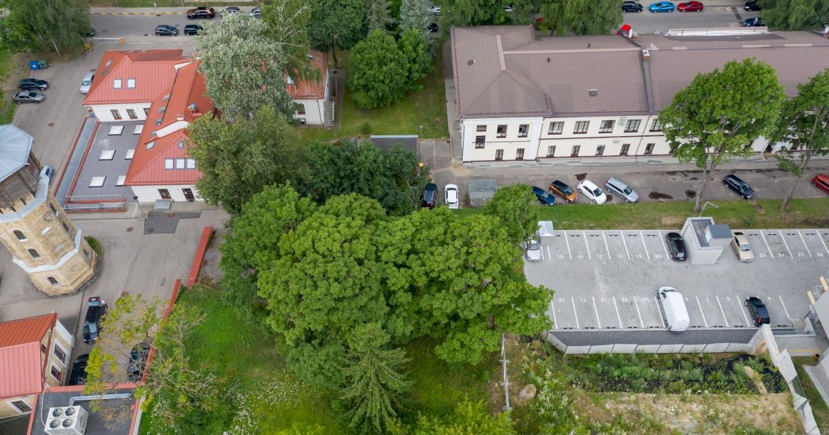 prie-sapiegu-rumu-ir-parko-planuojama-nauja-viesoji-erdve