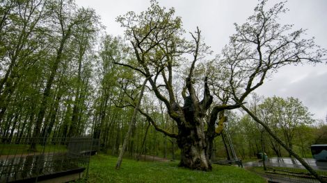 Pasididžiavimo verti gamtos paveldo objektai Lietuvoje