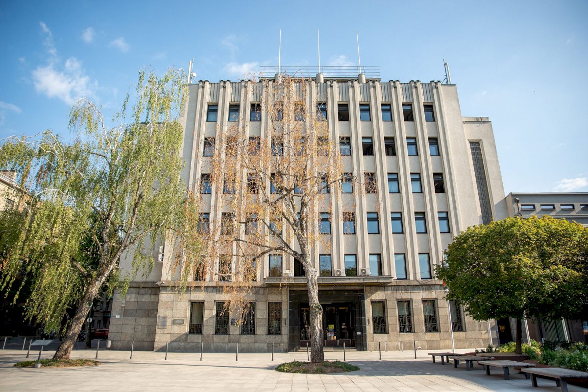specialistu-verdiktas:-laisves-alejoje-augantis-berzas-kelia-pavoju-aplinkiniams-–-ji-pakeis-kitas-medis