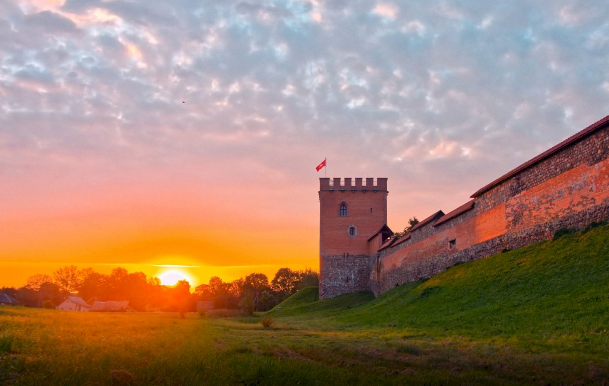 kvietimas-i-pavelda-pazvelgti-jo-puoseletoju-akimis