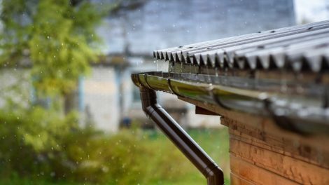 Lietvamzdžiai – svarbi lietaus nuvedimo sistemos dalis