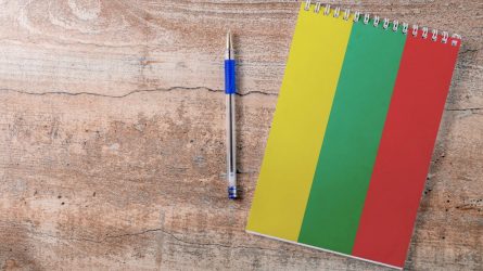 Į lietuvių kalbos mokymus per dvi paras užsiregistravo daugiau kaip 300 ukrainiečių